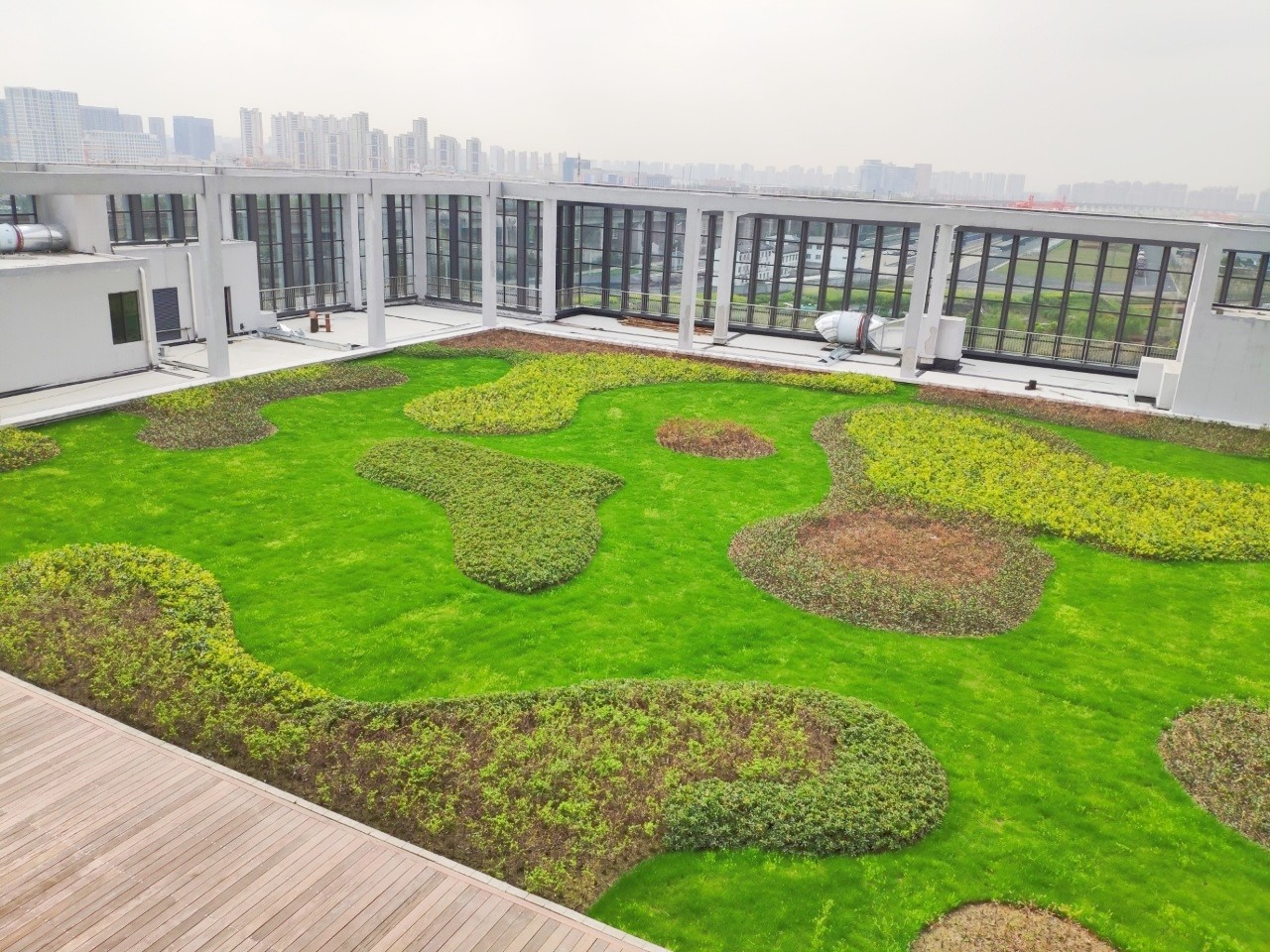 1668058274159111.jpg 1.jpg