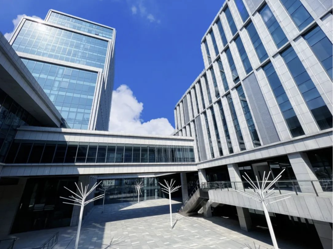 1708242511134863.png image.png